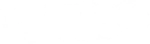 Wettigo logo